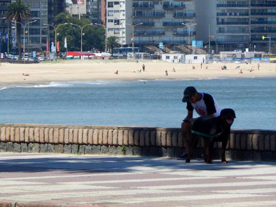 Apartamento Confortable Y Luminoso Apto Frente A Playa Pocitos